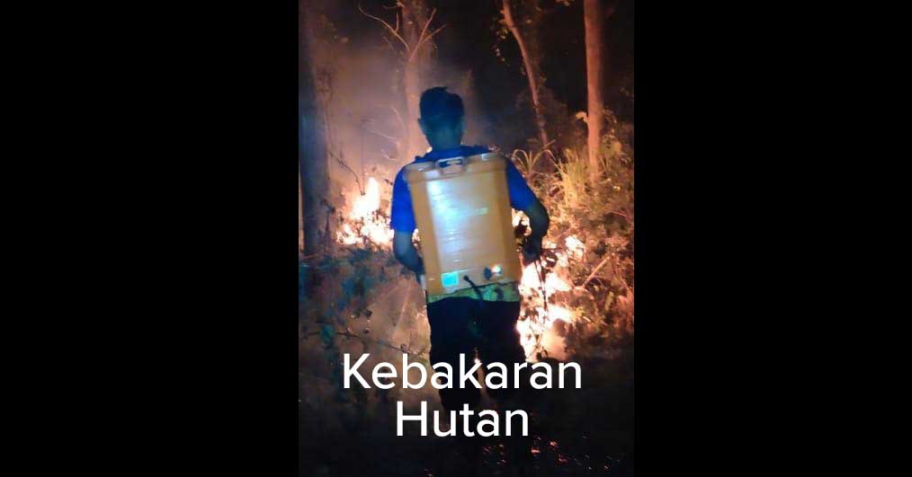 Kebakaran-Hutan-Pakah-Semanding-Tuban