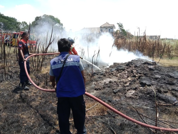 kebakaran di tuban