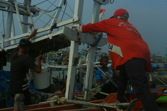 ikan naik ke permukaan